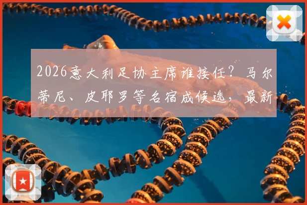 2026意大利足协主席谁接任？马尔蒂尼、皮耶罗等名宿成候选，最新名单与利弊深度探讨